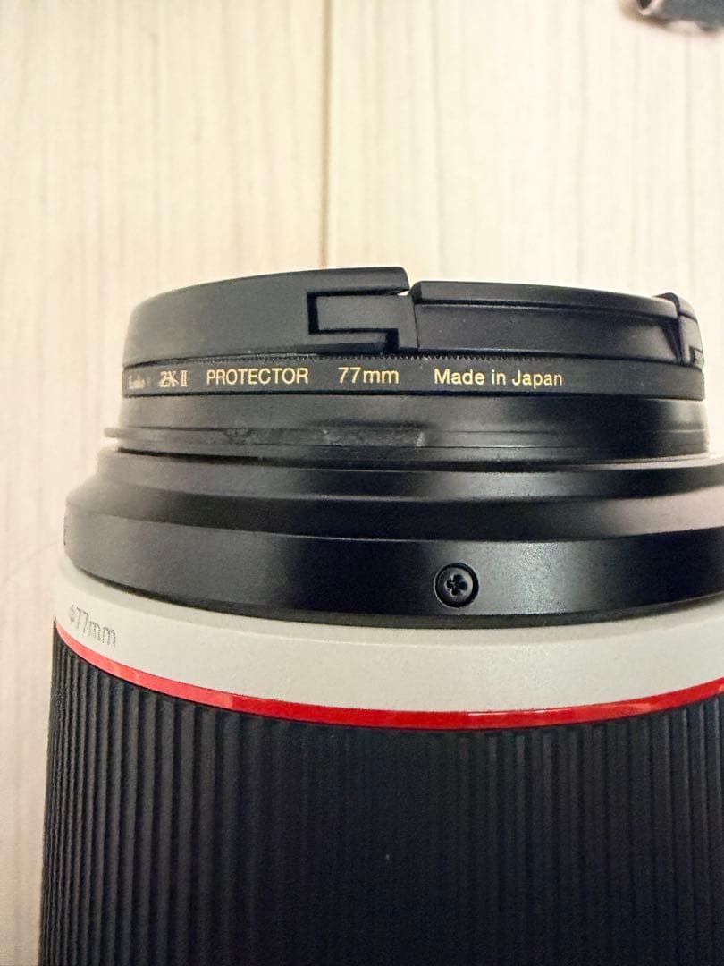 レンズ(ズーム) Canon RF 100-500mm F4.5-7.1 L IS USM