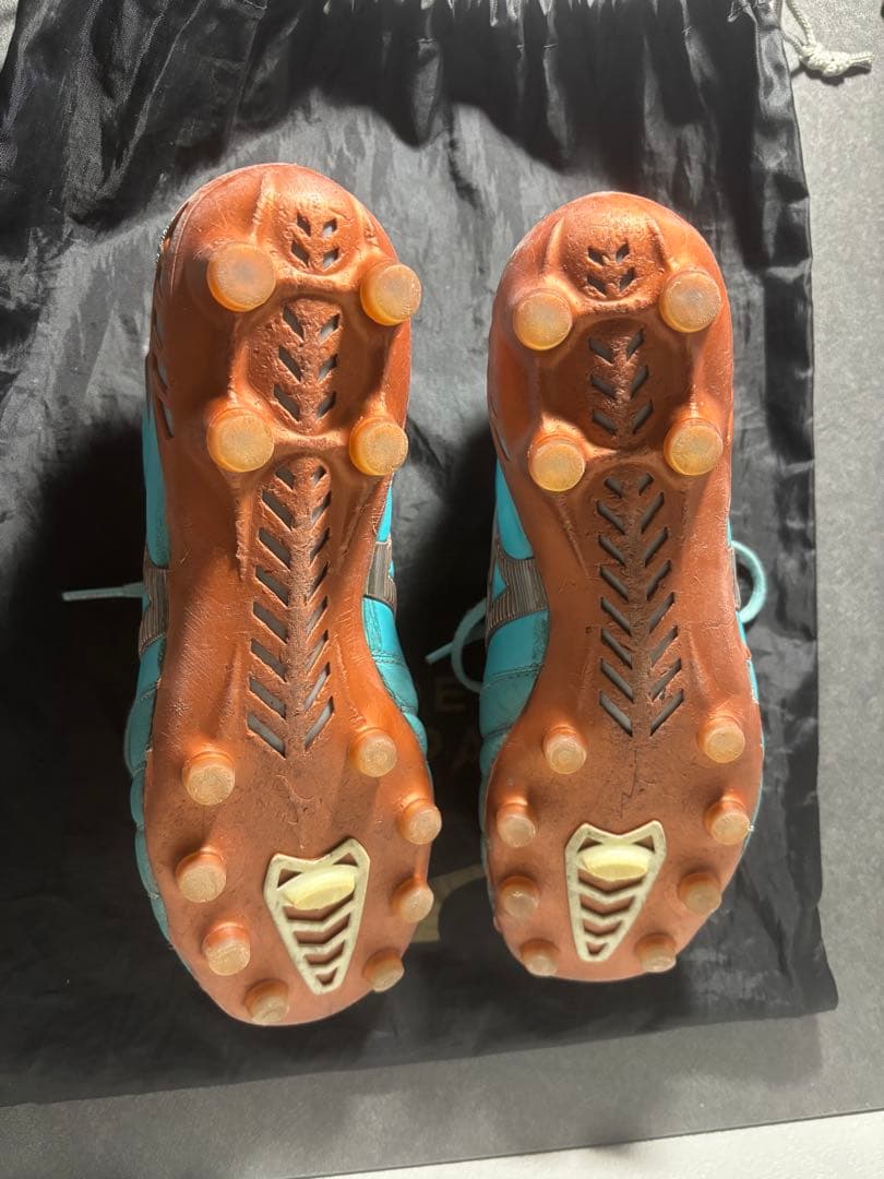 【本日限定価格】モレリアネオ3JAPAN カタールW杯限定カラー　25.5cm