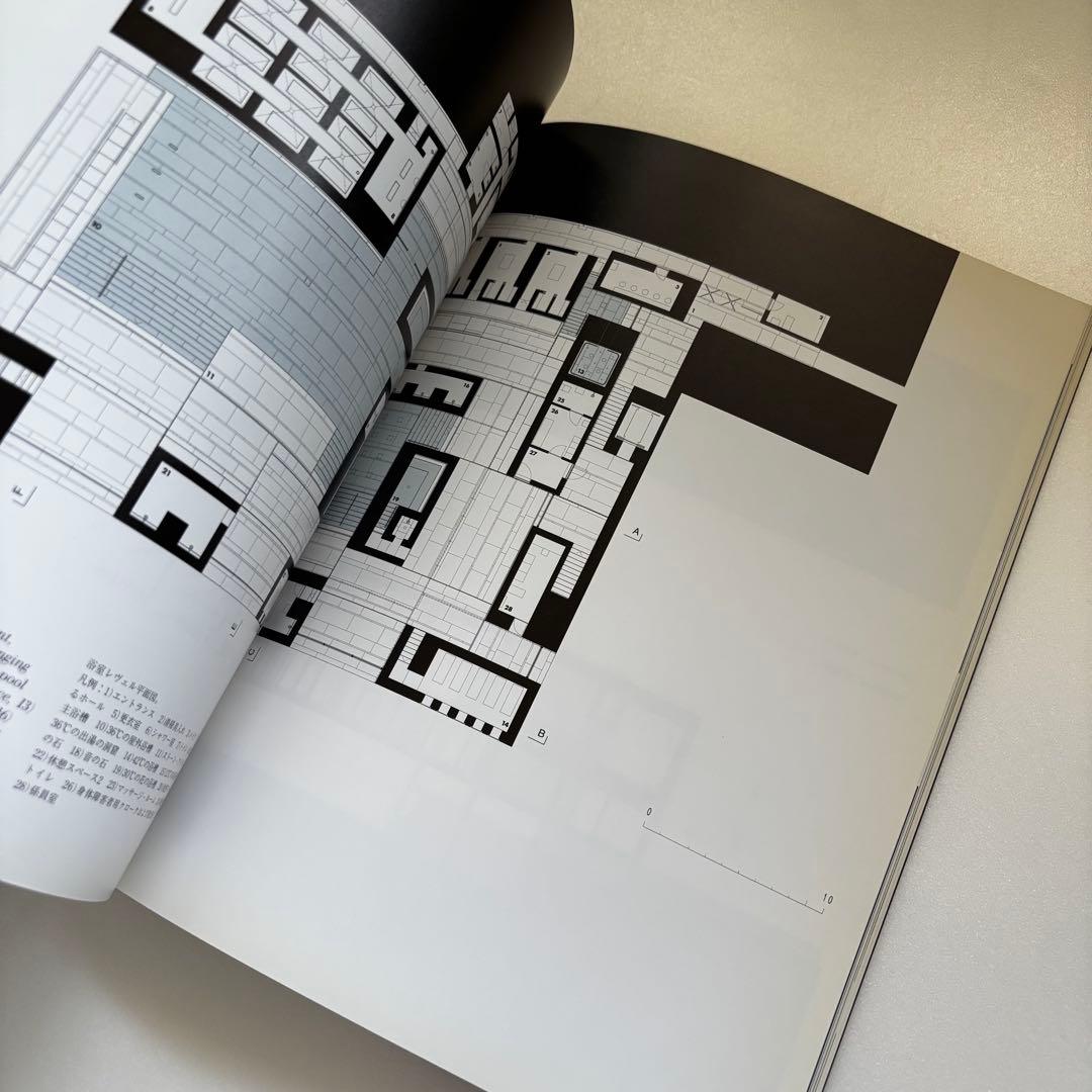 a+u 1998年2月号臨時増刊　ピーター・ズントー