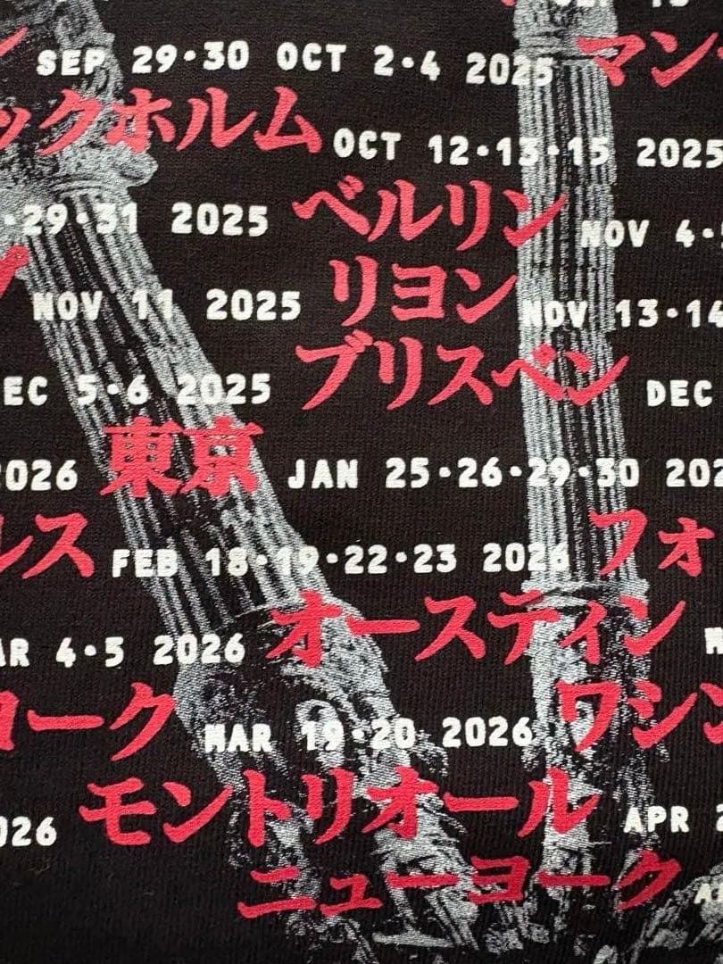 LADY GAGA 踊るか死ぬかTシャツXL レディーガガ　MAYHEM