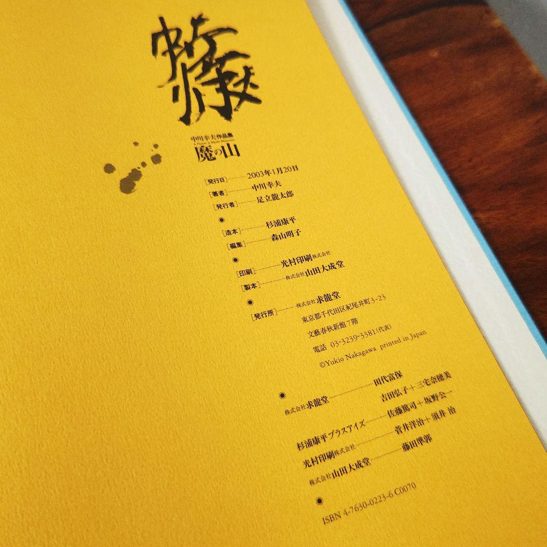 中川幸夫 作品集『魔の山』いけ花 現代アート アート Art 写真集