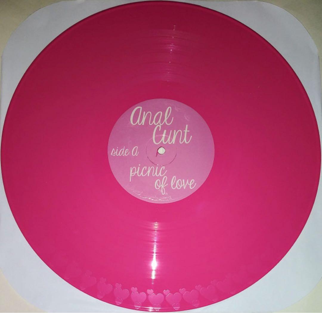 Anal Cunt Picnic of Love レコード RSD2019限定
