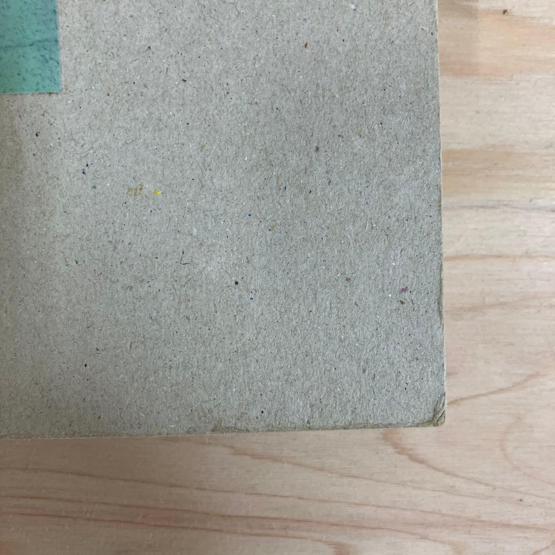 Mark Borthwick 写真集　not in fashion