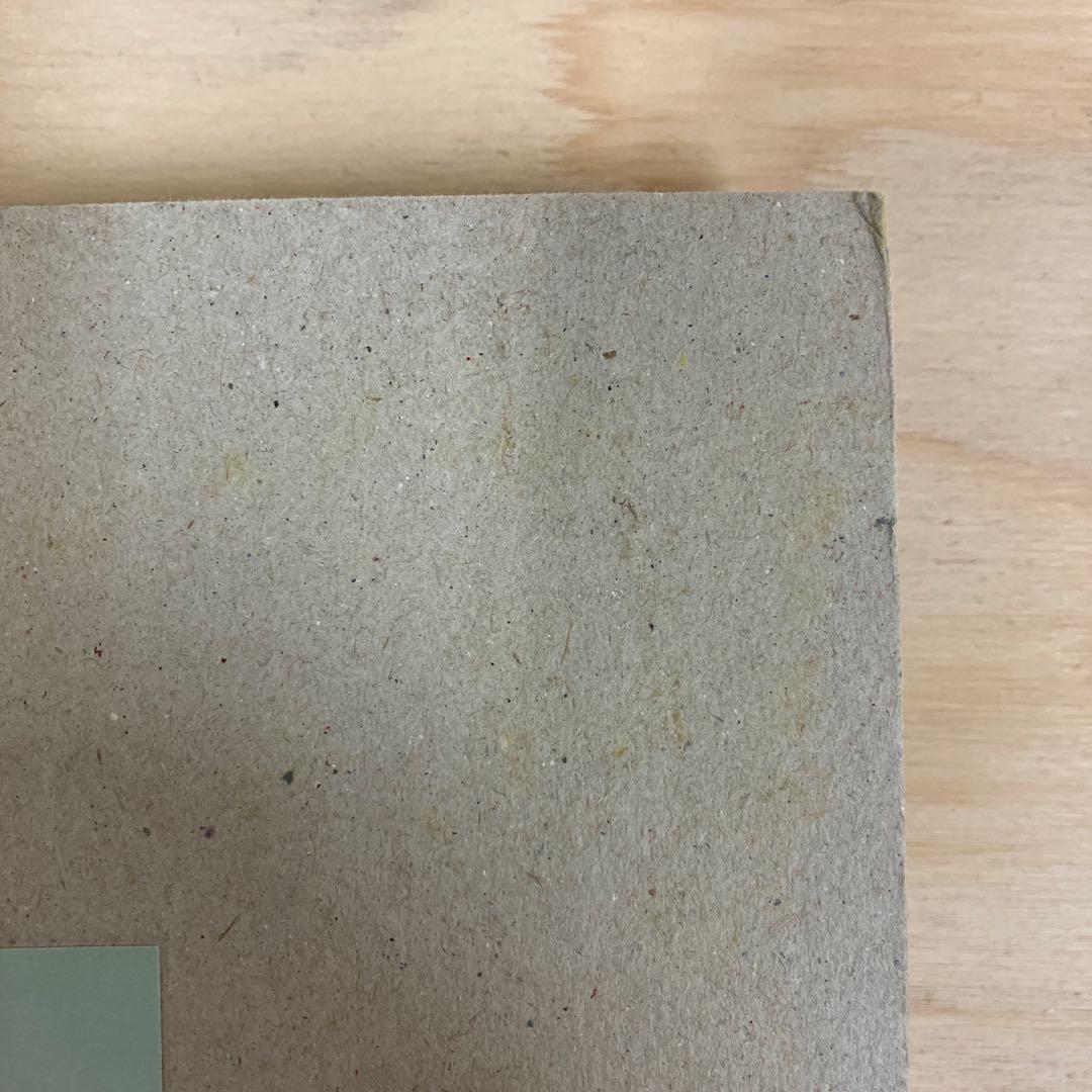 Mark Borthwick 写真集　not in fashion