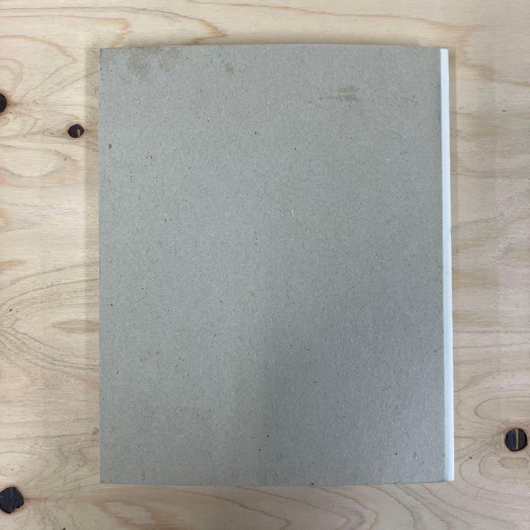 Mark Borthwick 写真集　not in fashion