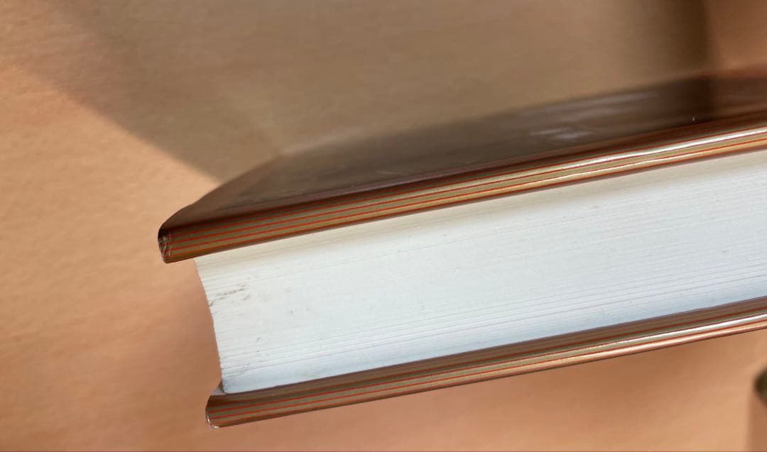 ダニエル C デネット 志向姿勢の哲学 人は人の行動を読めるのか？