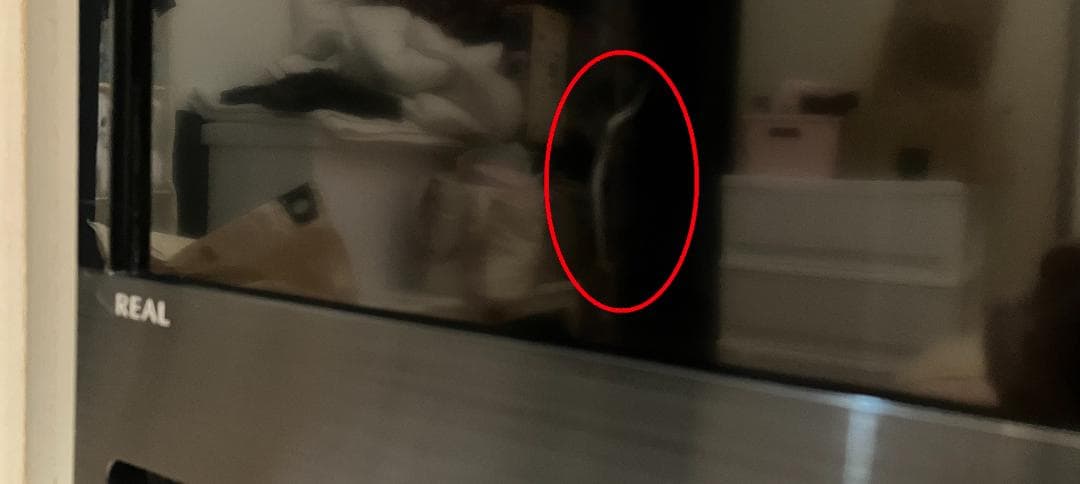 【ブルーレイレコーダー＆HDD内蔵】三菱　REAL　40V型　フルHD液晶テレビ