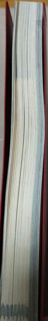 最終値下げ♪刺青道場 彫師への入門教科書 (上下巻)2　二代目梵天