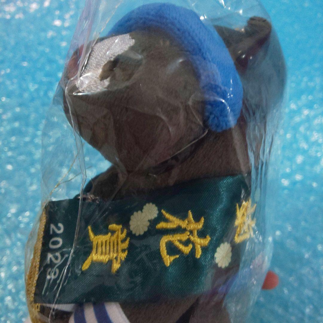 アイドルホース selection 第84回 菊花賞 ドゥレッツァ