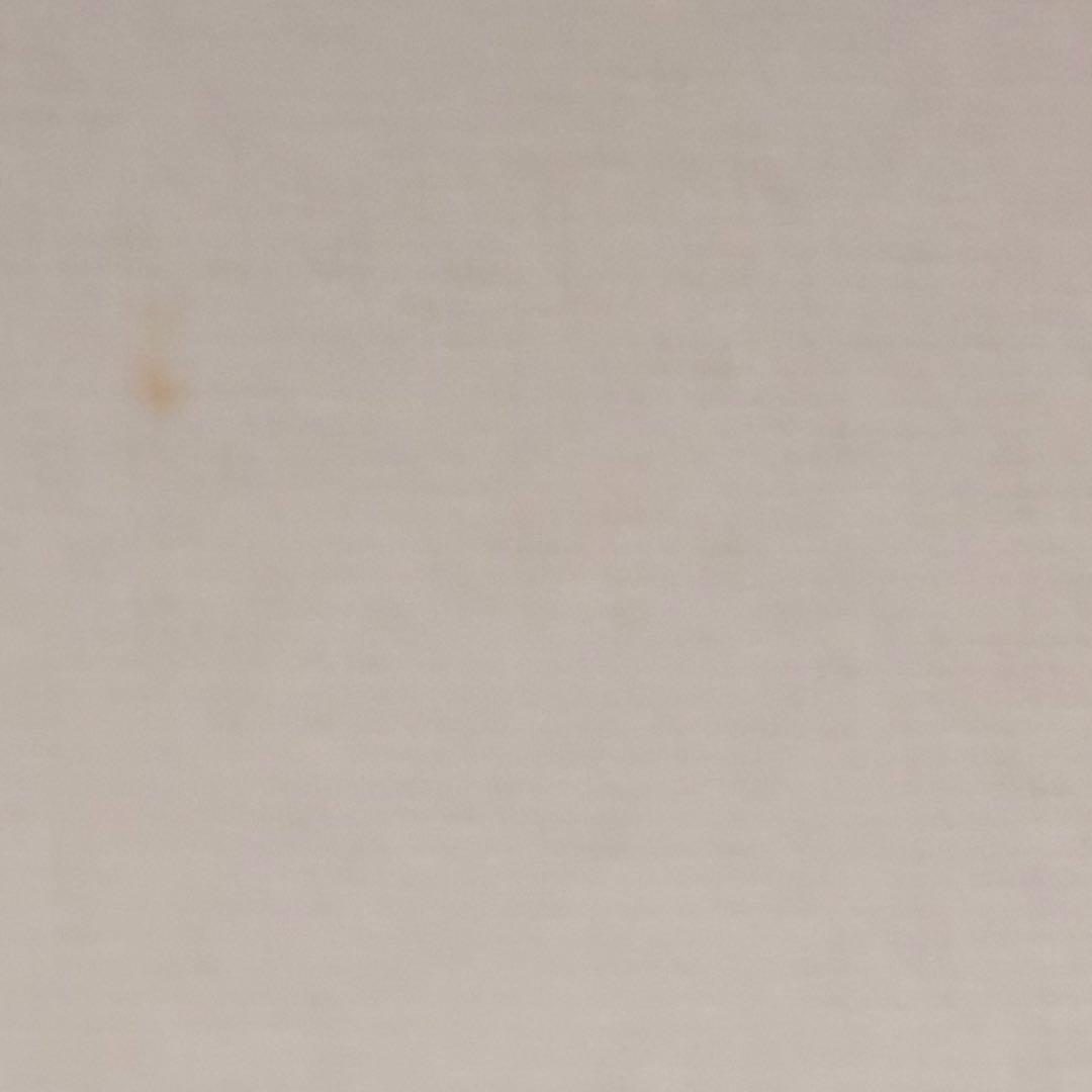 ベッキオバンビーノ