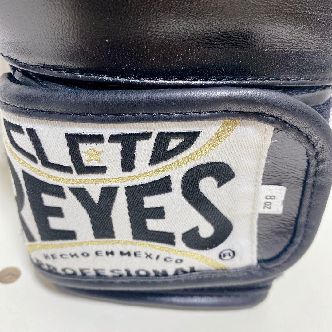 【美品】 レイジェス ボクシング グローブ 8oz プロ仕様