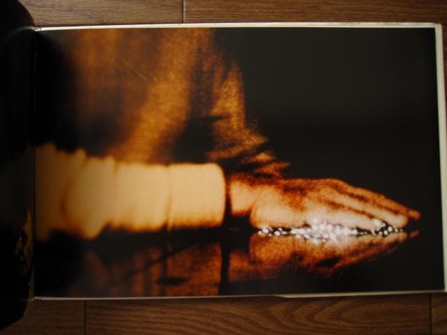 Lilly　志賀理江子　Lieko Shiga　初版