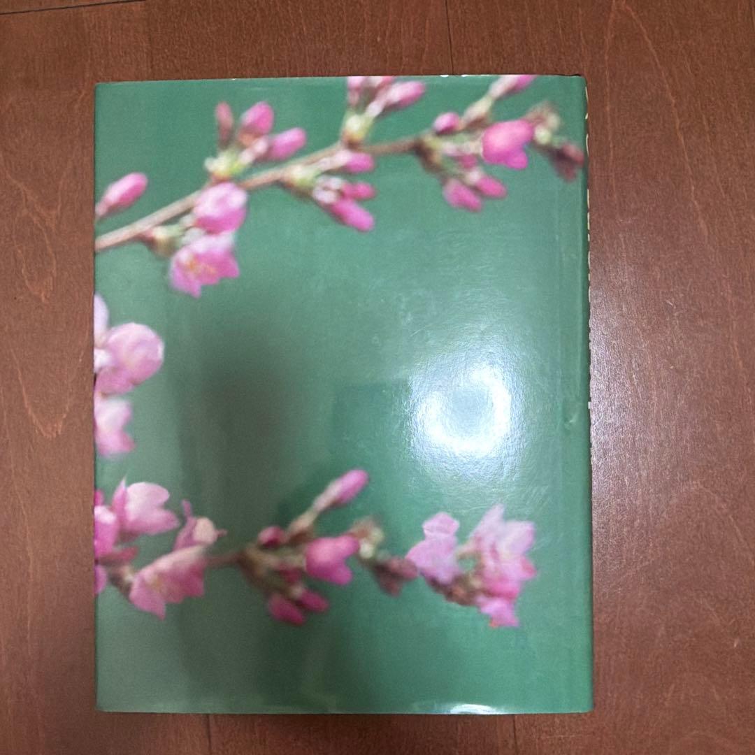 バービー barbie in japan 洋書　写真集