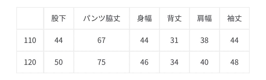 【新品未使用】ノースフェイス　キッズ　スノーウェア　スキーウェア　110cm