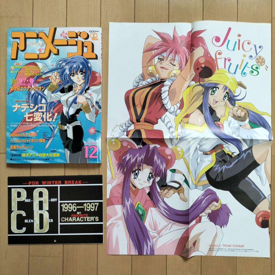 【新品同様】アニメージュ〈12冊セット〉1996年1月号〜12月号　ふろく付き