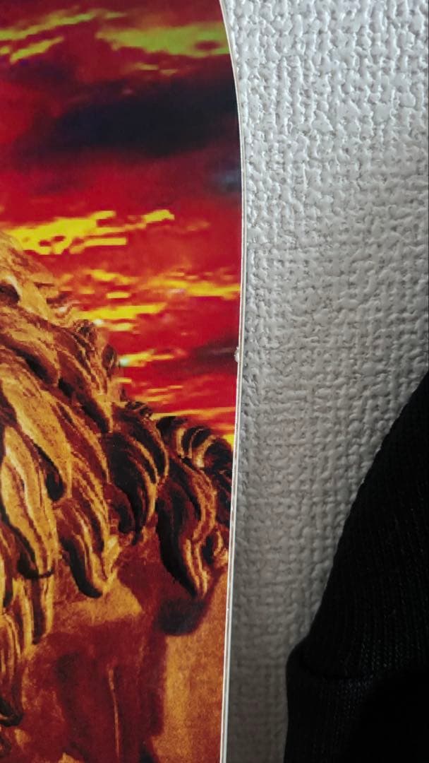 セール！1月27日までMOSS TOTO 160 スノーボード　オガサカ製　国産