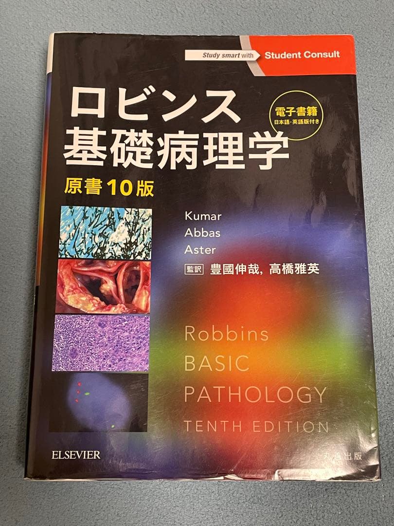 ロビンス基礎病理学原書第10版