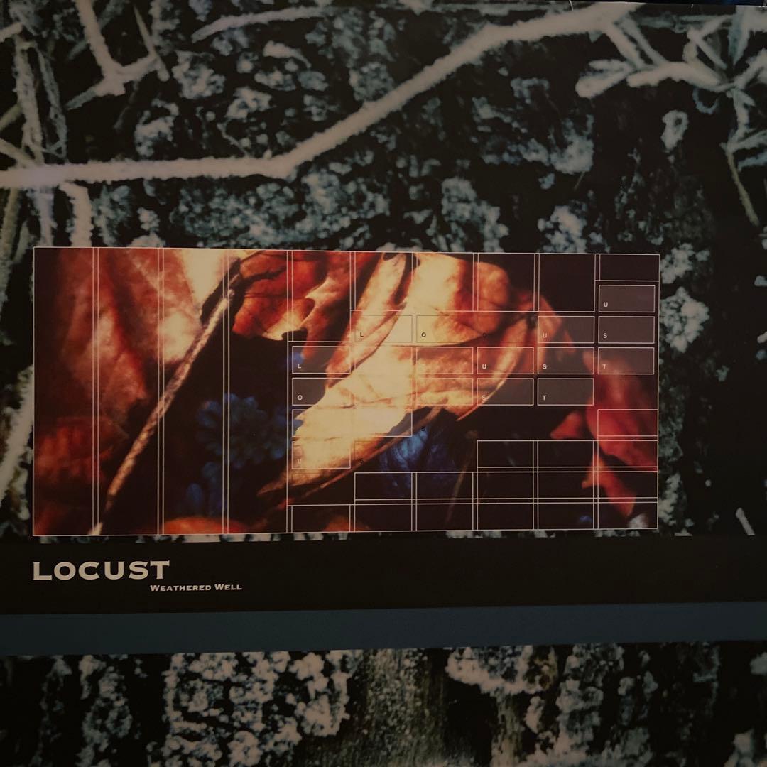 Locust – Weathered Well 2LP
