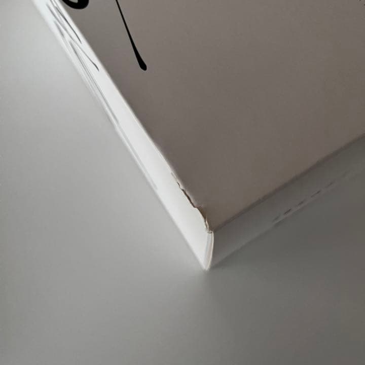 straykids ペンライト 公式