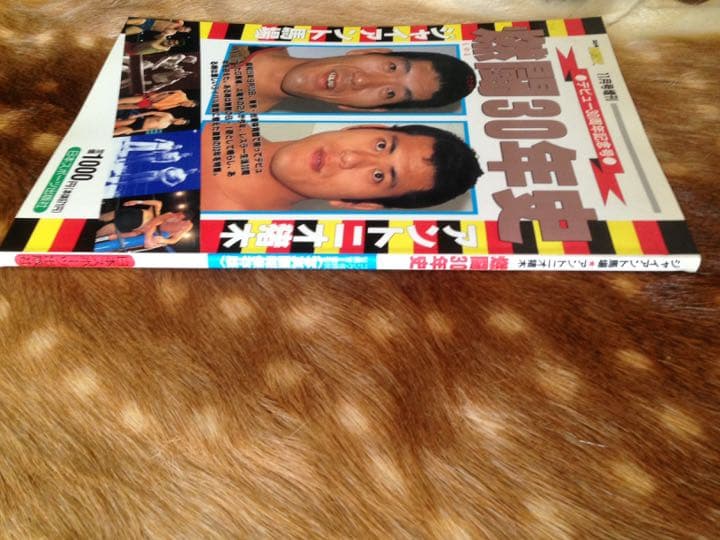 燃闘30年史 ジャイアント馬場 アントニオ猪木