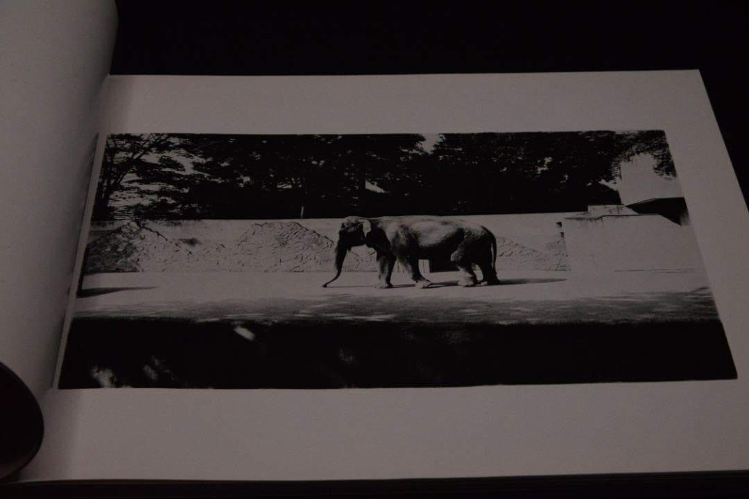 【仲治への旅】森山大道　著者サイン入　★★大幅に値下げしました