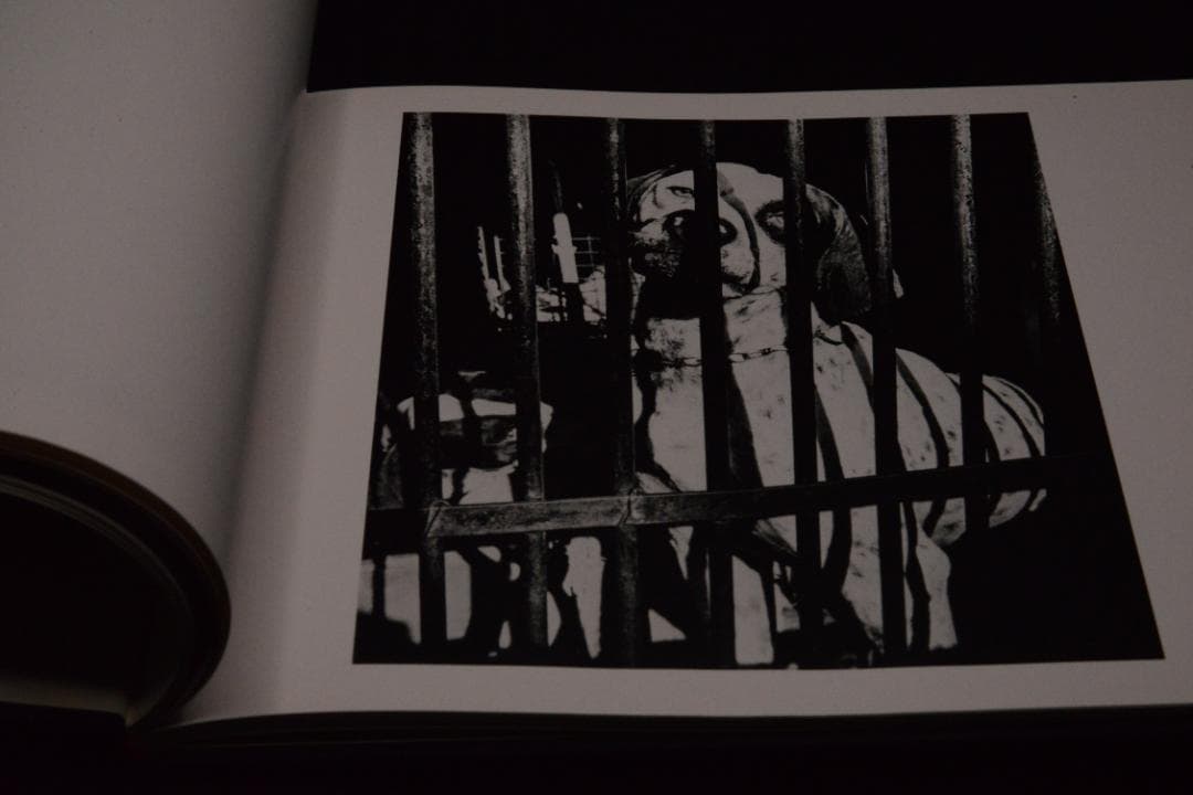 【仲治への旅】森山大道　著者サイン入　★★大幅に値下げしました