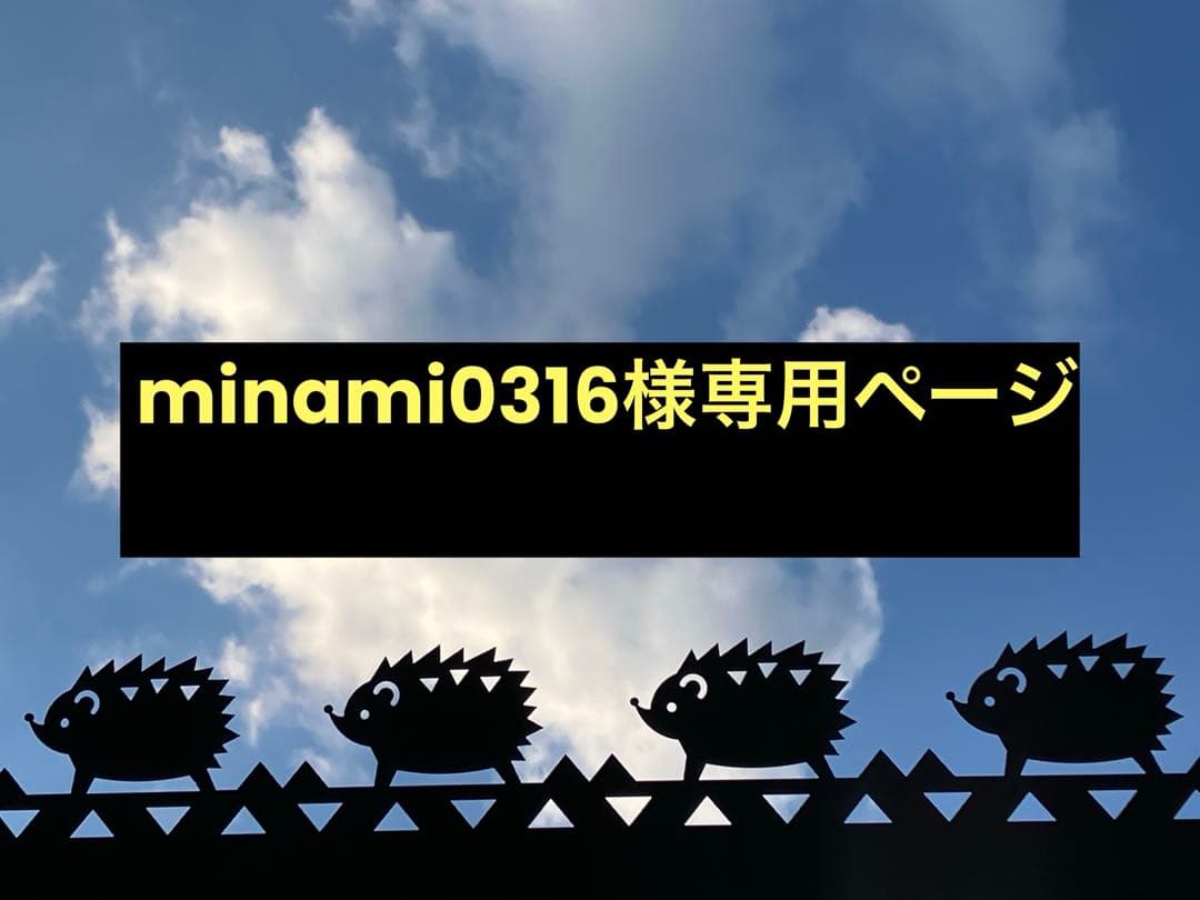 minami0316ページ