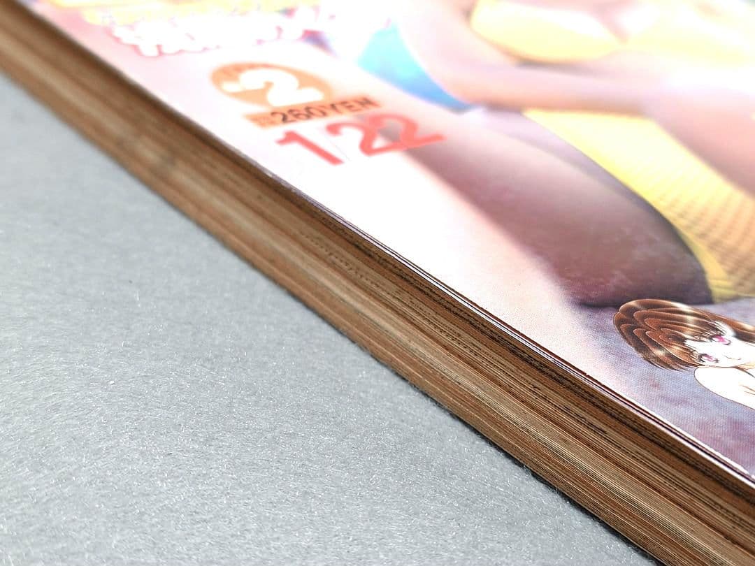 ヤングアニマル1999年2号ベルセルク第134話/浅倉めぐみ表紙&水着グラビア