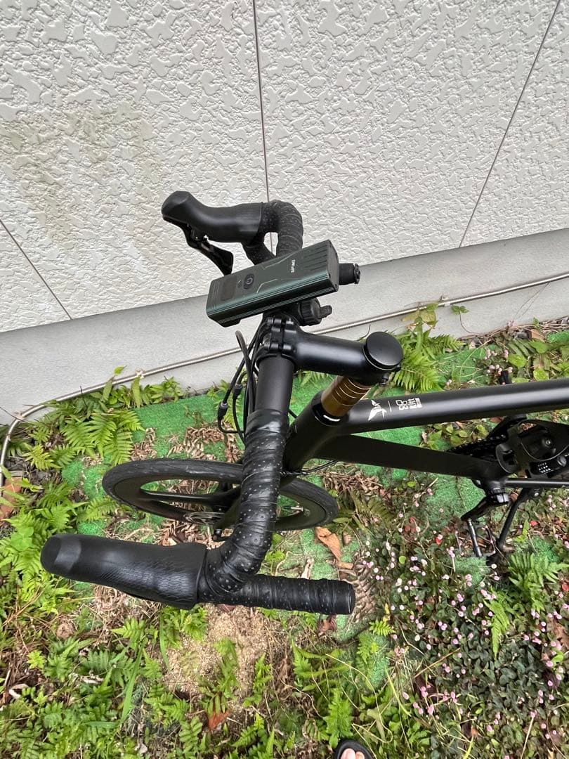 Tern SURGE X ターン サージュ カイ ミニベロ