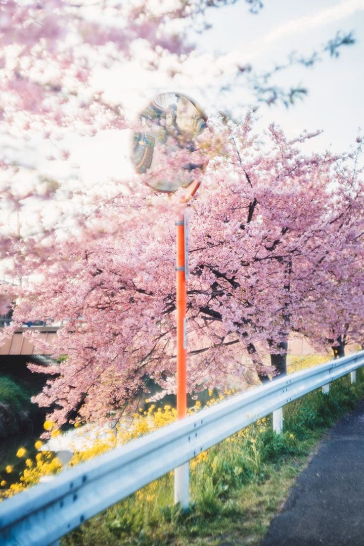 【極美品】Leica summarit 50mm f1.5 L ズマリット