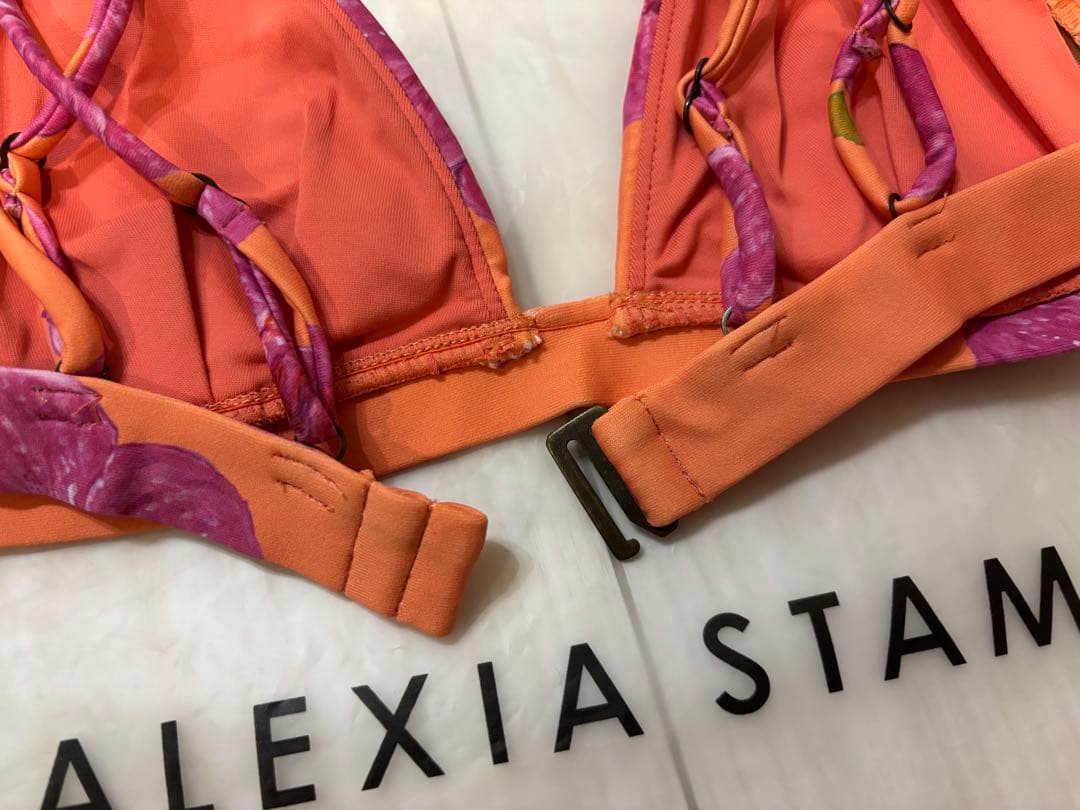 アリシアスタン水着　上下セット