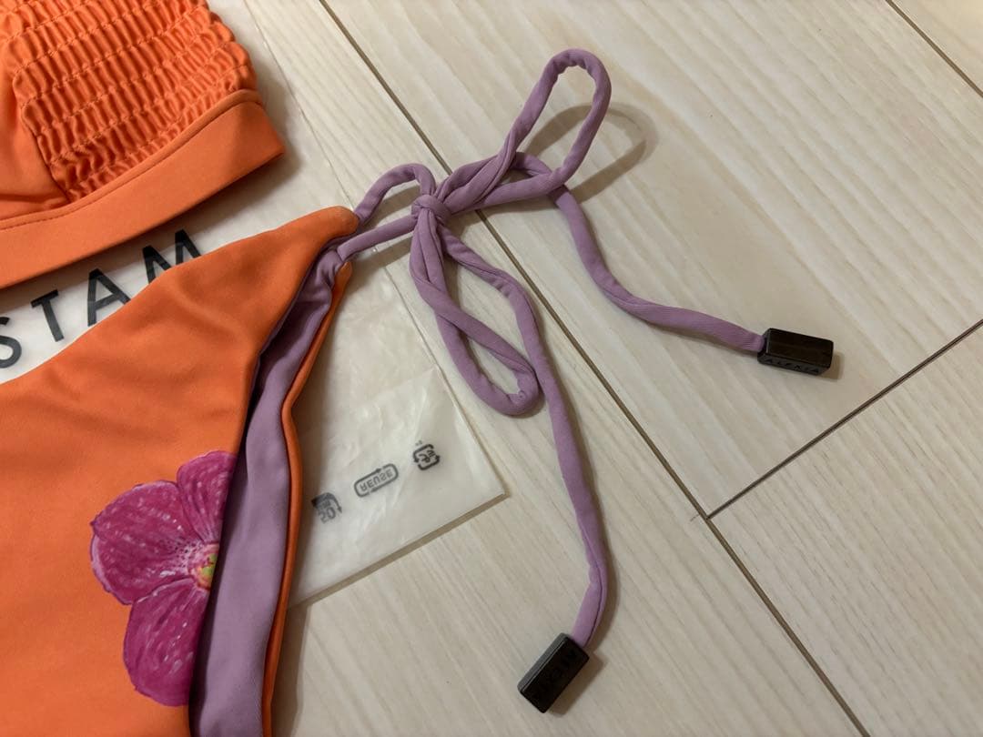 アリシアスタン水着　上下セット