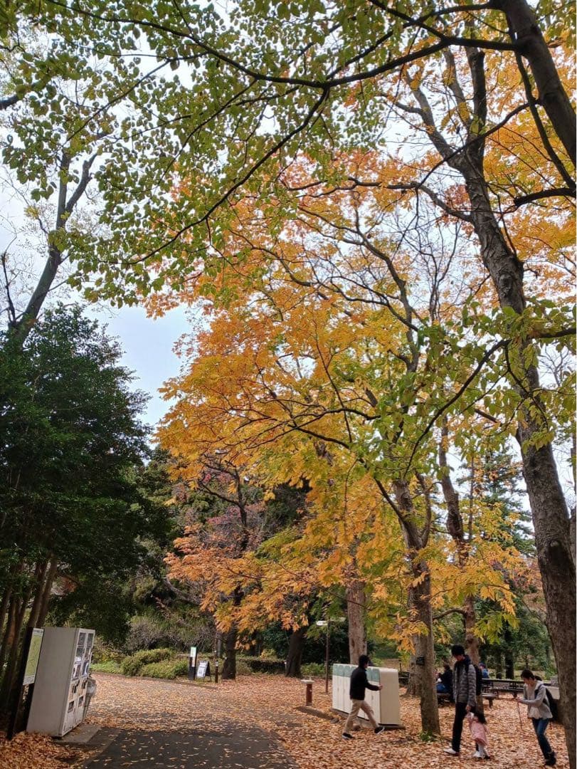 Iphone12 ブラック64GB SIM フリー［カメラ実用性◎］