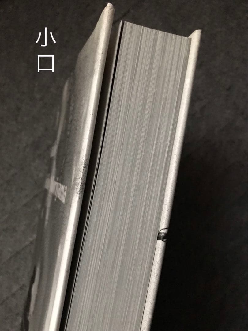 HOKKAIDO / Daido Moriyama 北海道 / 森山大道