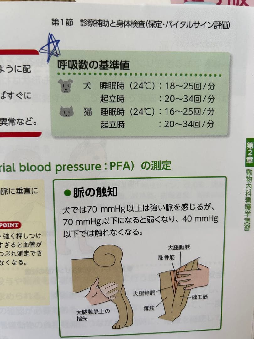 動物看護・動物関連 教科書セット（今年度版・ほぼ未使用