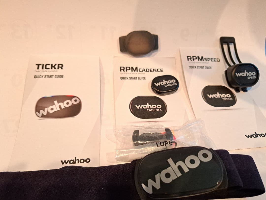 【限定色ピンク】Wahoo ELEMNT BOLT