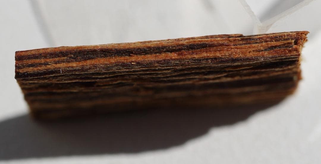 J*0様 香木 古渡命銘木「蓮」約1.29g お香 沈香