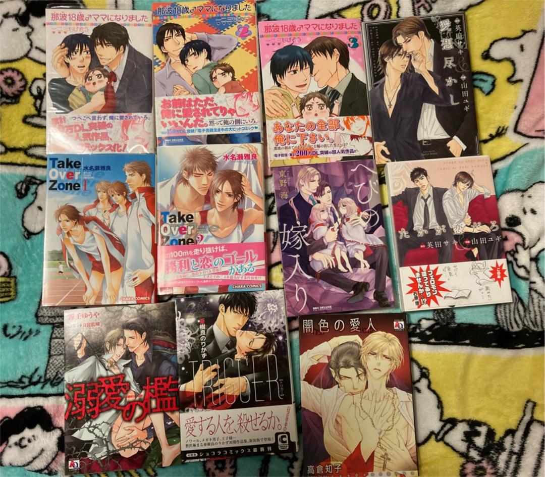 BL漫画 24冊 まとめ売り 東野海 英田サキ 水名瀬雅良 《即決不可》