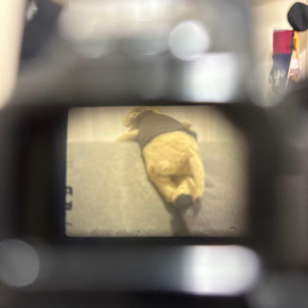 フィルムカメラ OLYMPUS OM-1 ジャンク品