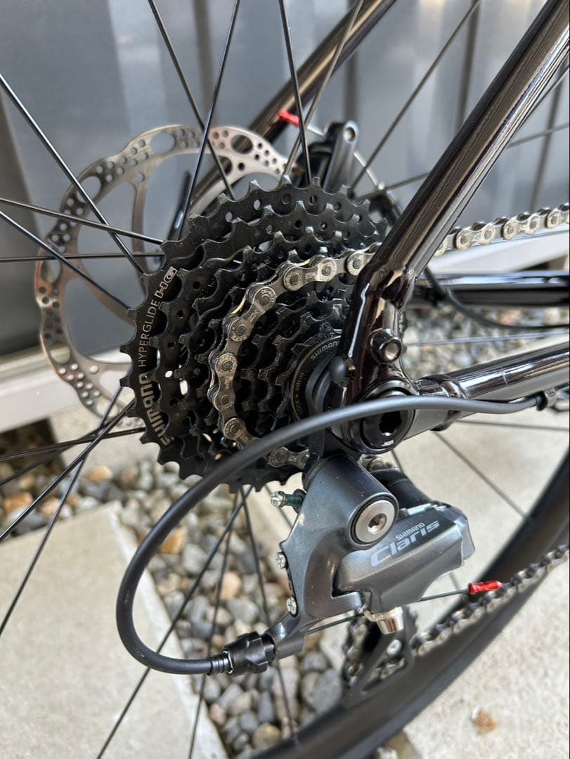 TREK DOMANE AL2 Gen4トレック ドマーネ 2025 おまけ付⭐︎