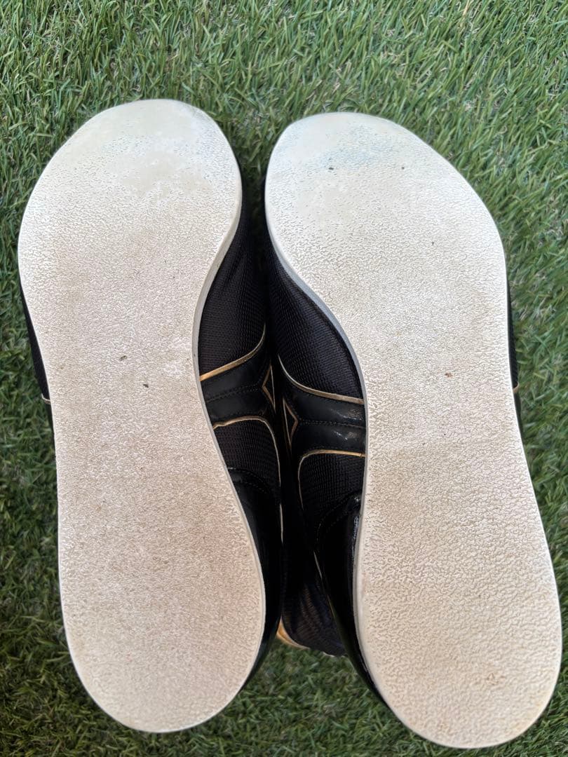 Mizuno ボクシングシューズ