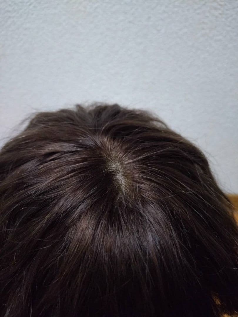 人毛100%　Sサイズ　ブラウン　フルウィッグ　ウエーブ