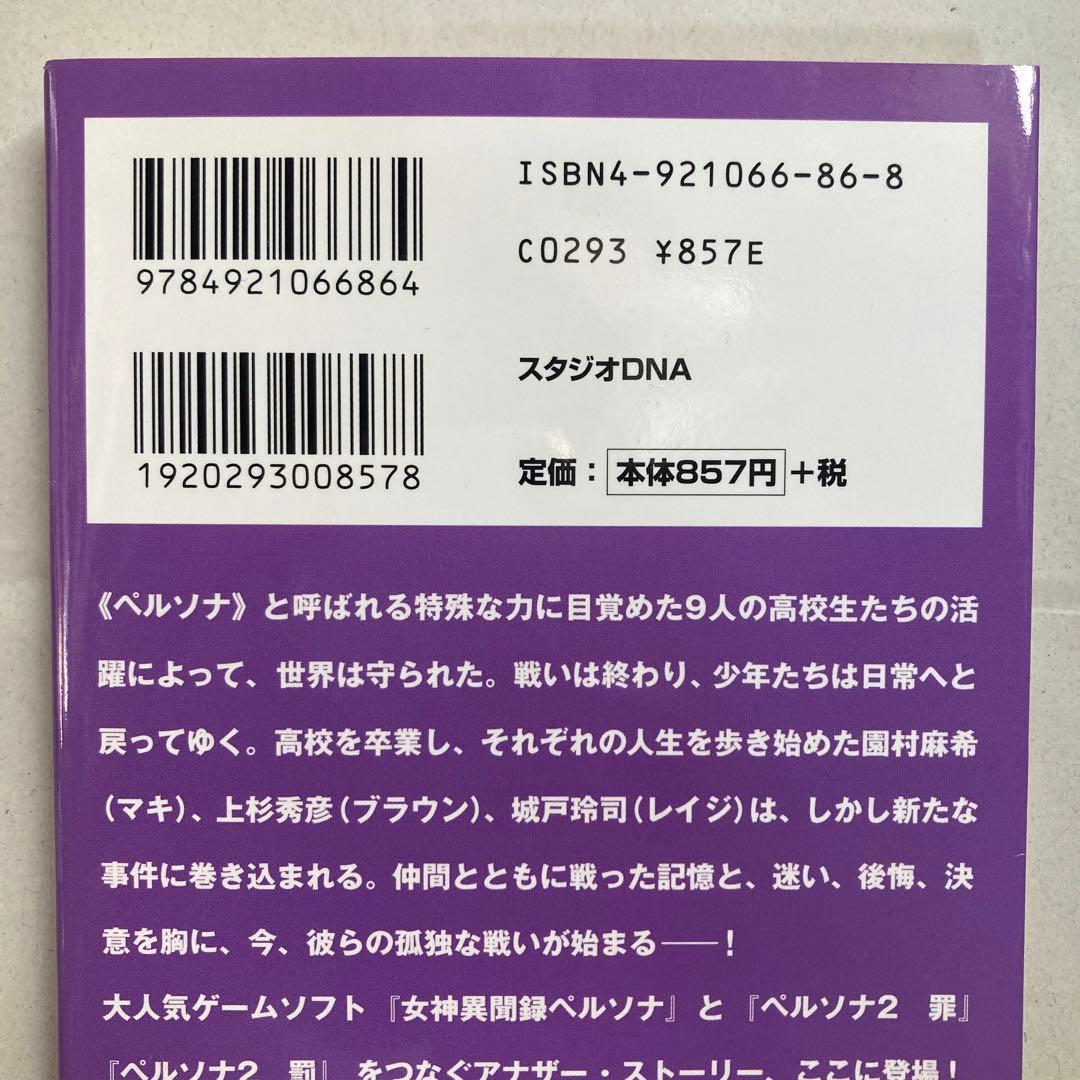 ペルソナ・アナザービジョン 明日出会う自分へ　DNAノベルス新書　小説　匿名配送