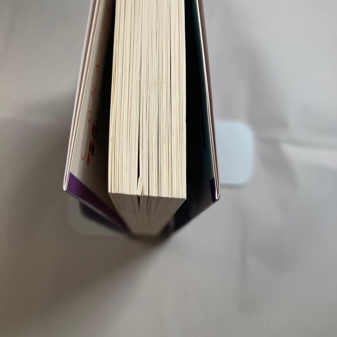 ペルソナ・アナザービジョン 明日出会う自分へ　DNAノベルス新書　小説　匿名配送