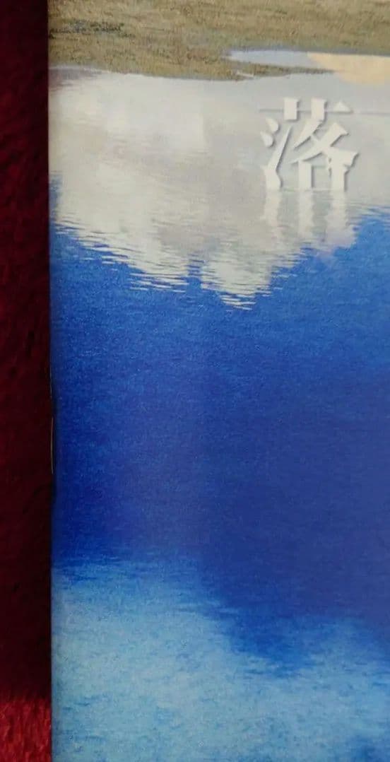 超激レア 落下の王国 the Fall パンフレット 映画