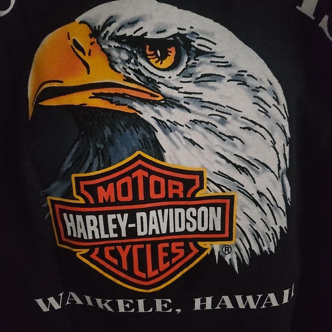 【激レア】ハーレーダビットソン ロンT