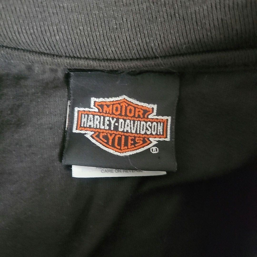 【激レア】ハーレーダビットソン ロンT