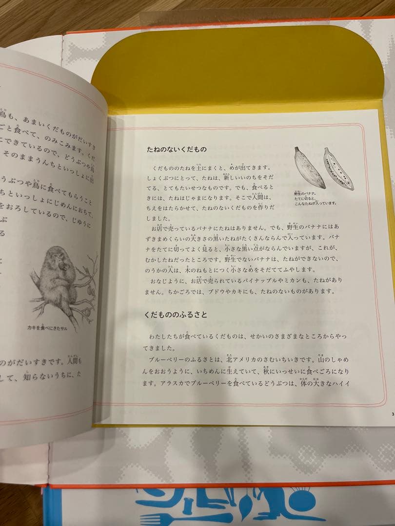 新品☆いきもののづくしものづくし　学習図書　福音館書店　全12巻セット