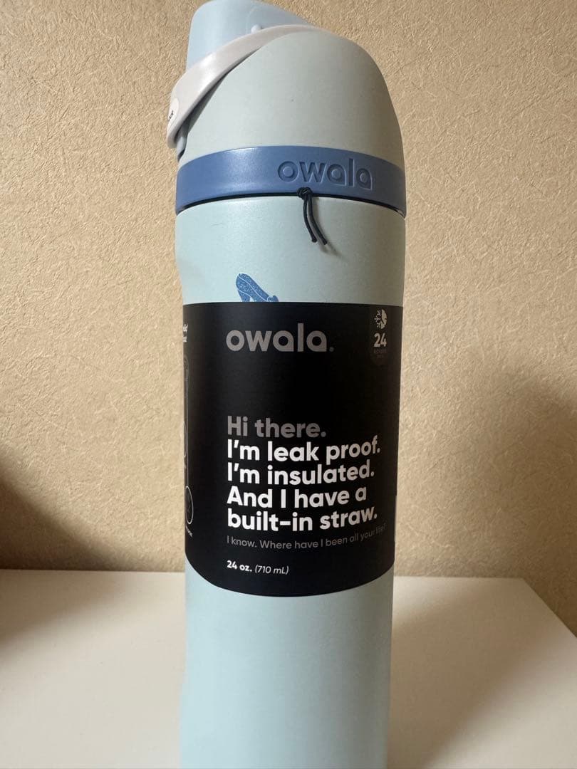 ✳︎nyaaaさん✳︎ 専用　日本未入荷owala Cinderella