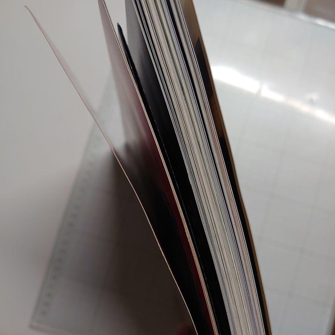 ゴシック&ロリータバイブル v.11